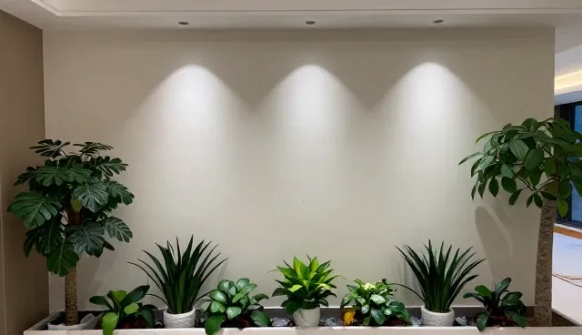 汽车贴膜服务选型关注点，如何避免常见误区